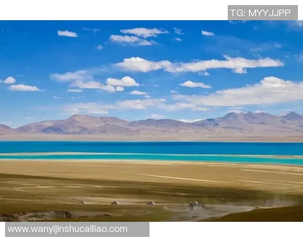 《他是绿茵场上的王者,她是他心中最柔软的秘密,足球与爱情的完美交织》 《他是绿茵场上的王者,她是他心中最柔软的秘密,足球与爱情的完美交织》