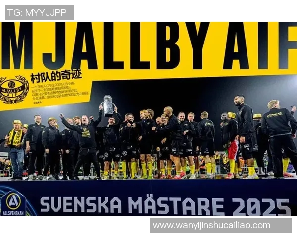 瑞典足球巨星带领国家队冲击世界杯荣耀背后的故事与奋斗历程 瑞典足球巨星带领国家队冲击世界杯荣耀背后的故事与奋斗历程